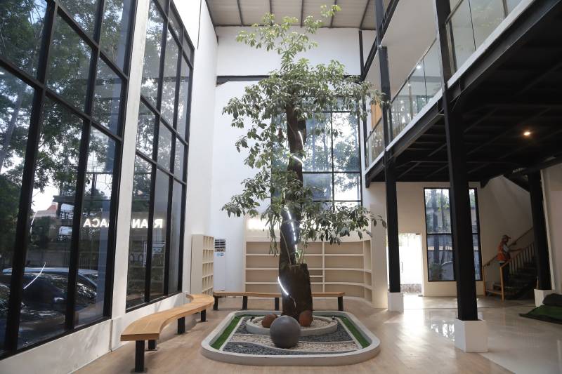 Pohon Pule diruang baca , mendukung kenyaman dan kesejukan bernuansa alam dan perkotaan